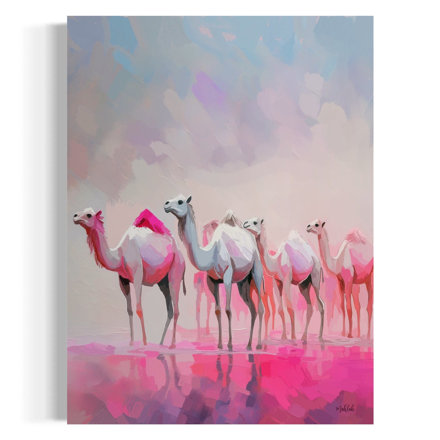 A2 Pink Camels