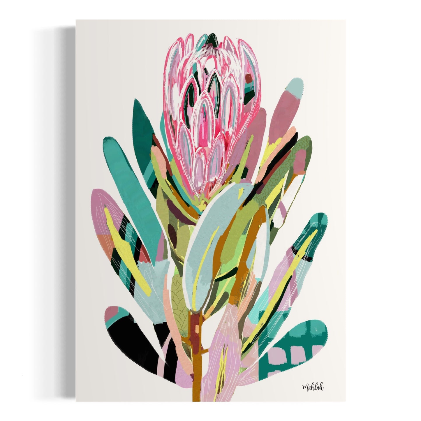 A3 Offbeat protea white