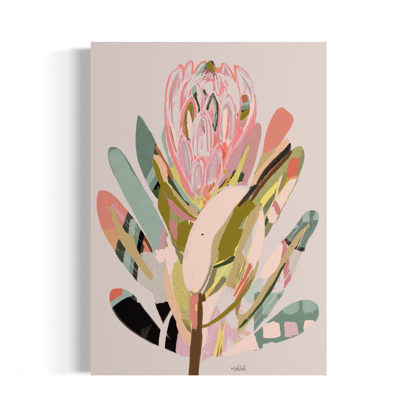 Coco Modern Protea A3 print 300gsm