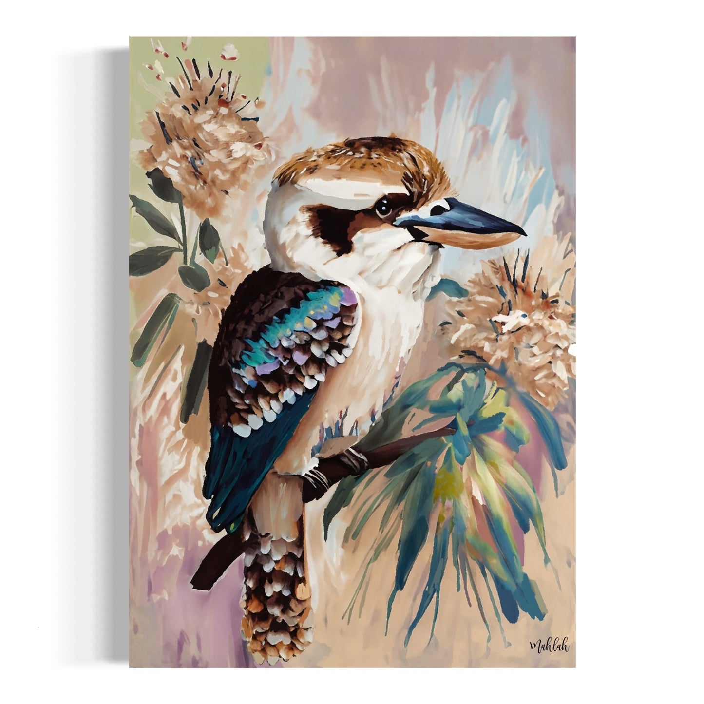 A3 Kookaburra Bloom