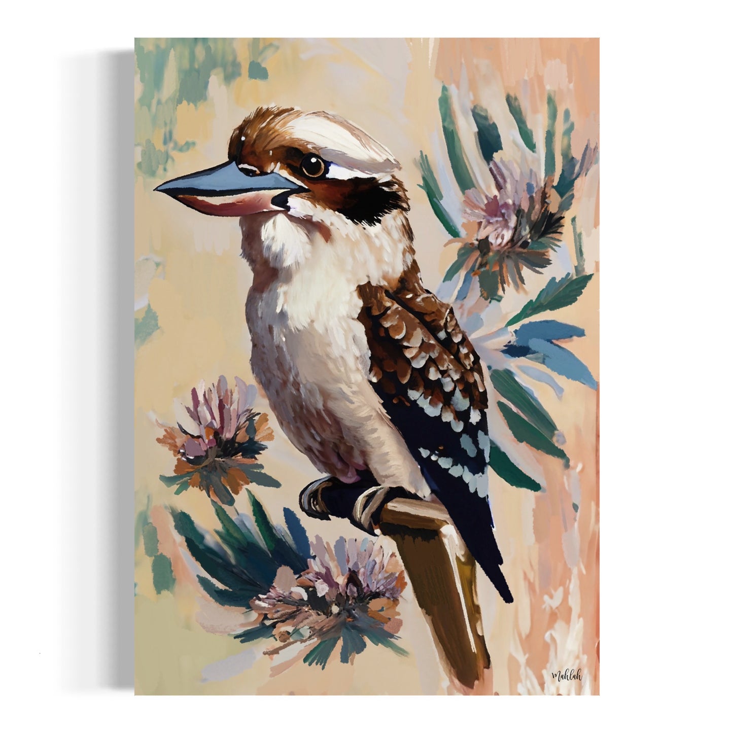 A3 Kookaburra Bloom 2