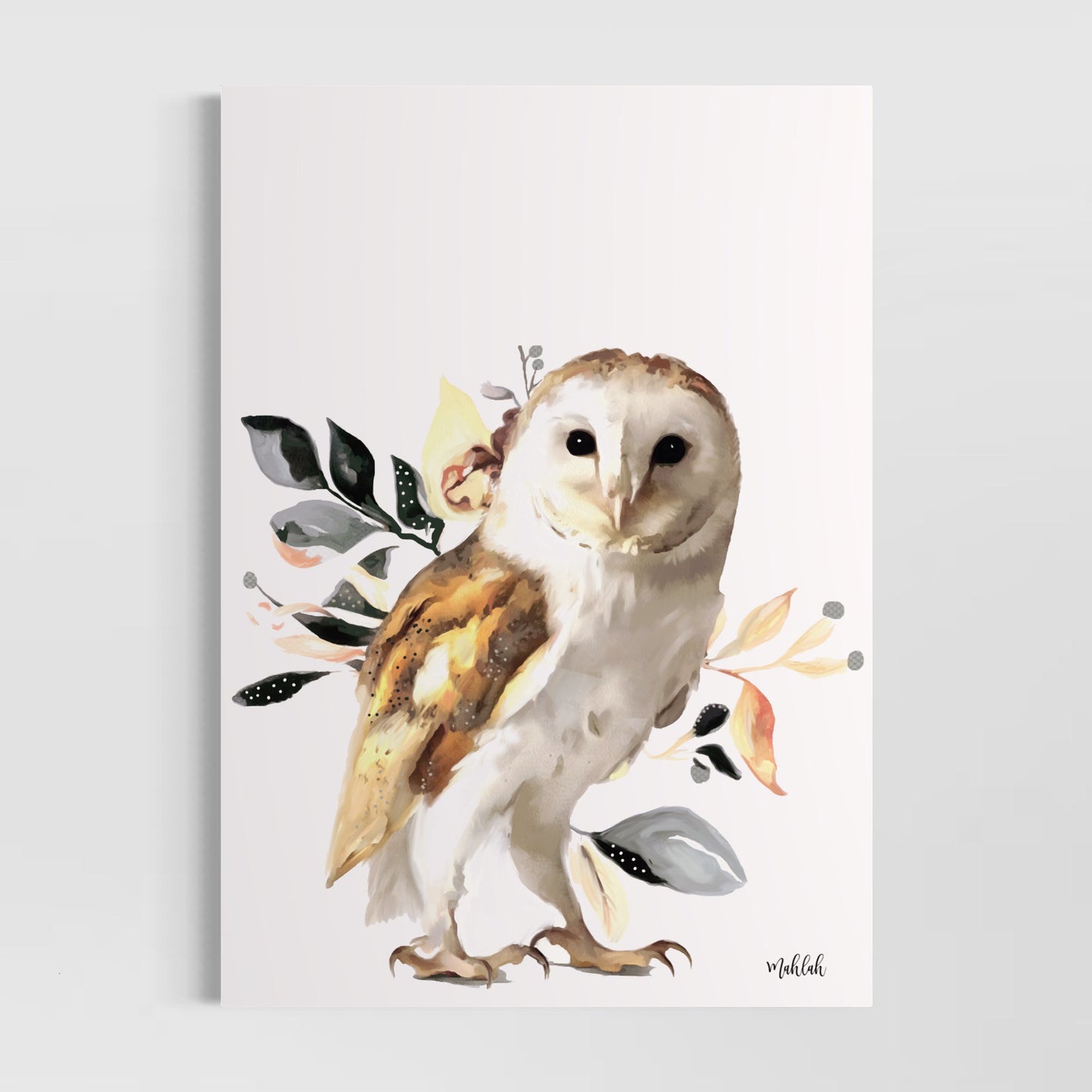 A3 Barn owl 300gsm