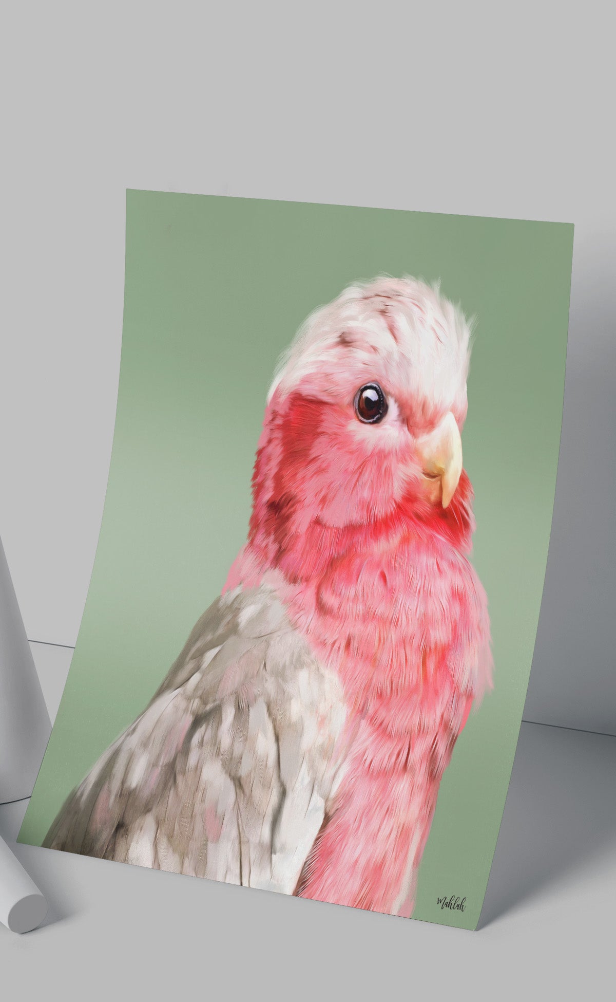 A3 Regal Galah Print 300gsm
