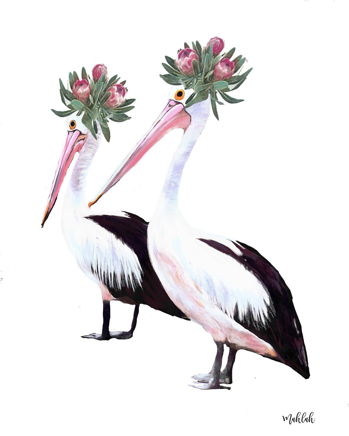 Pelicans Print