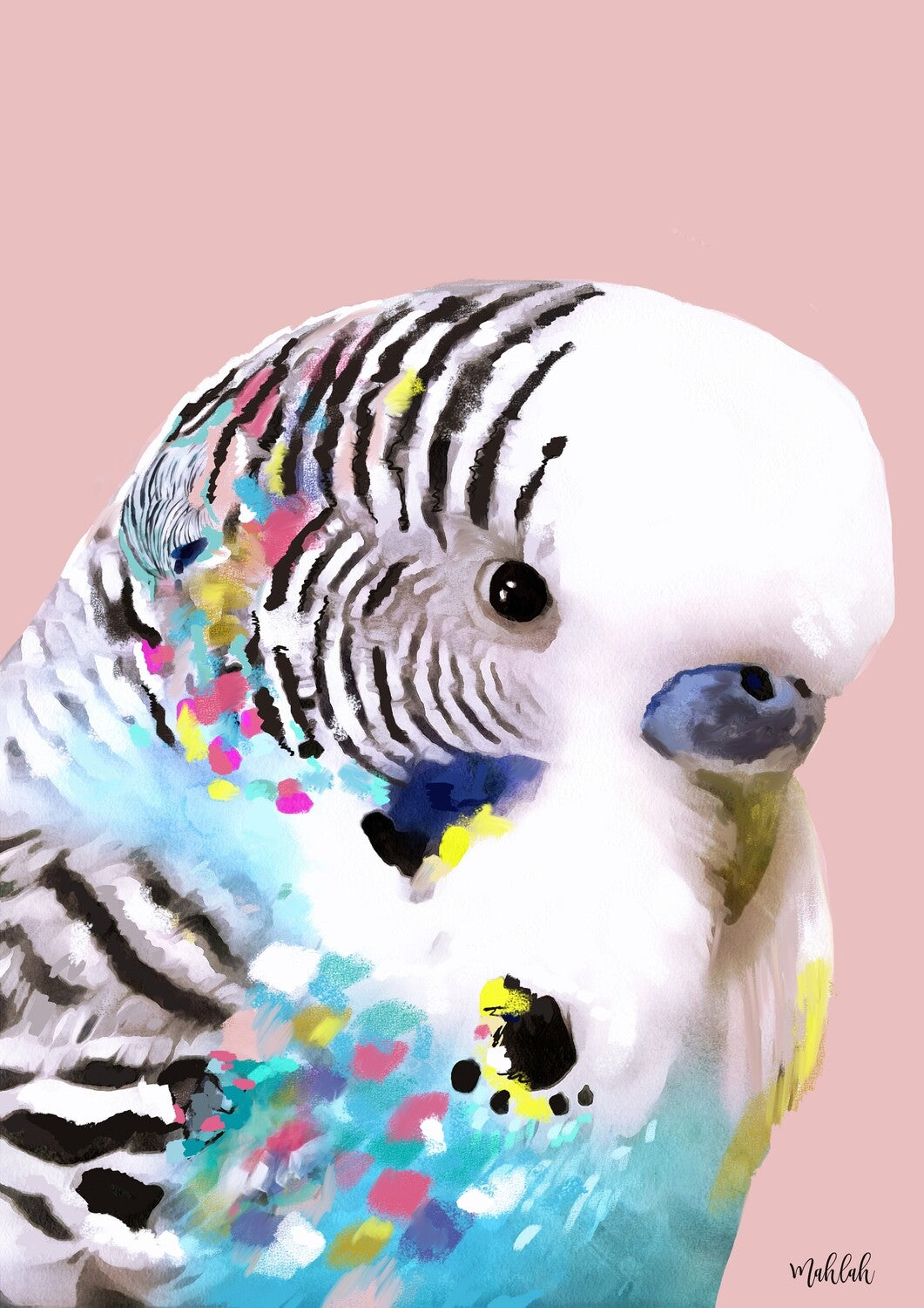 Budgie Print