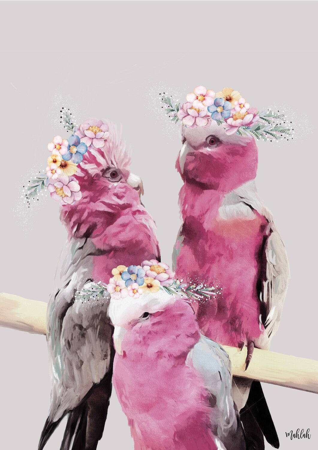 Family of Galahs Print