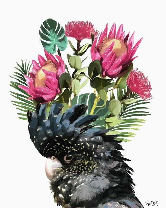 Black cockatoo Flower Print