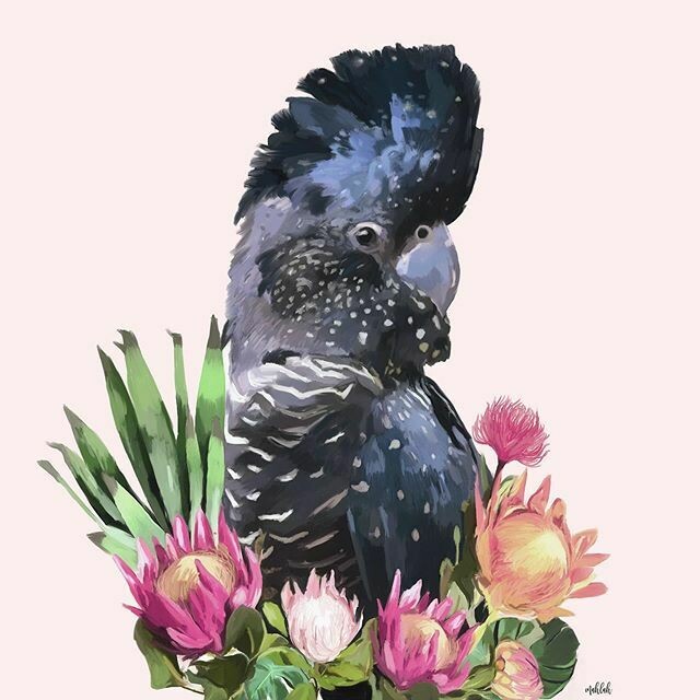 Cocky Print