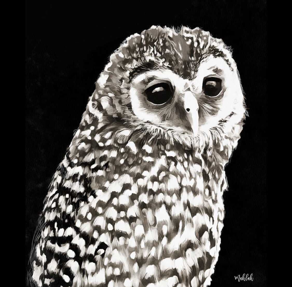 Owl Print