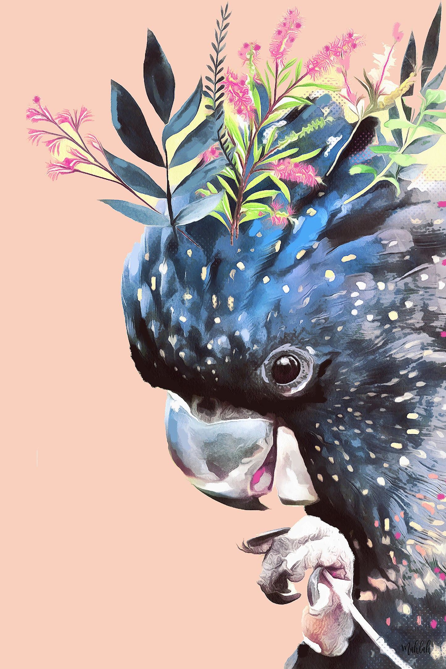 Black / Peach Cockatoo