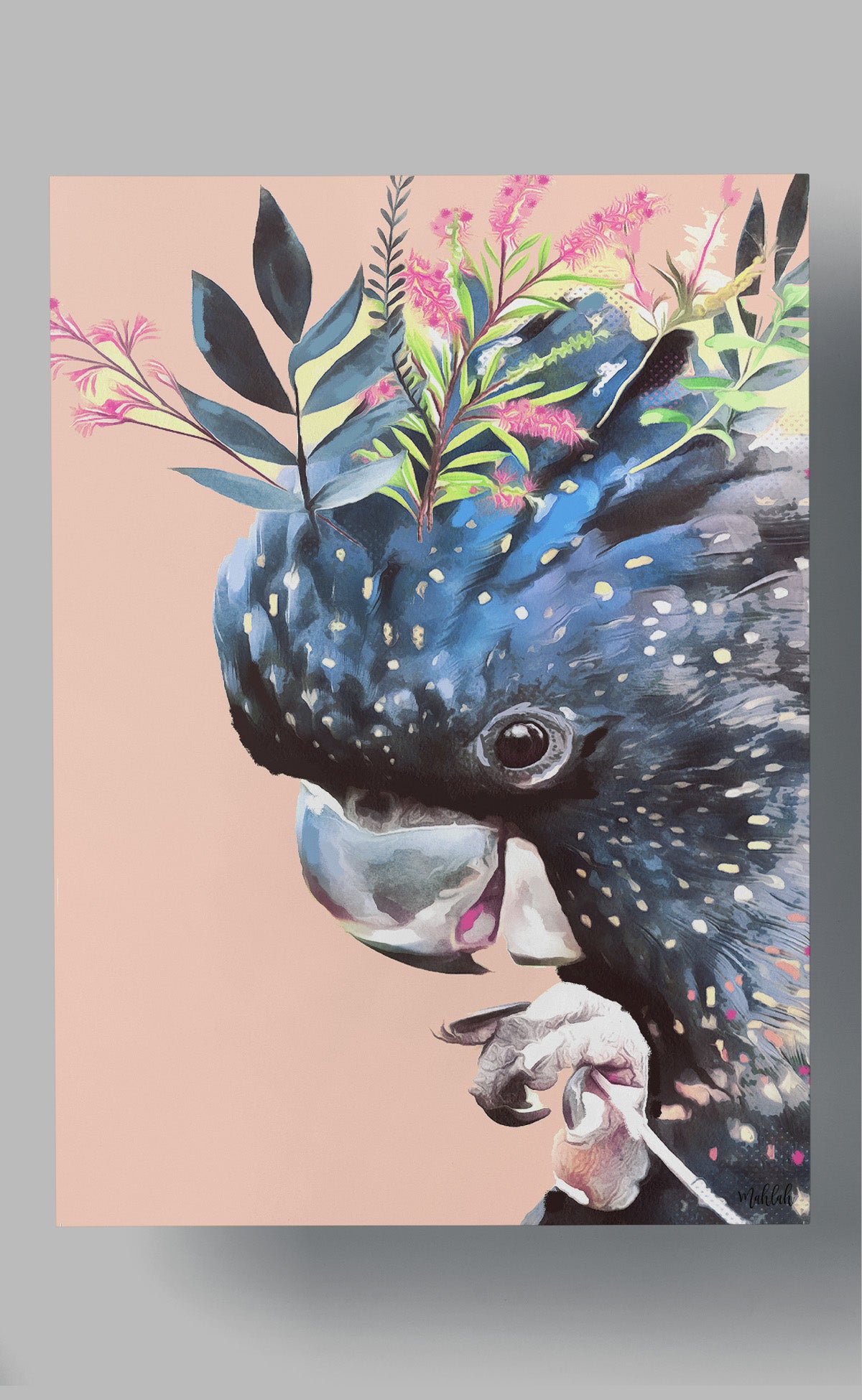 A3 print 300gsm Black/Peack cockatoo-BIRDINK0057