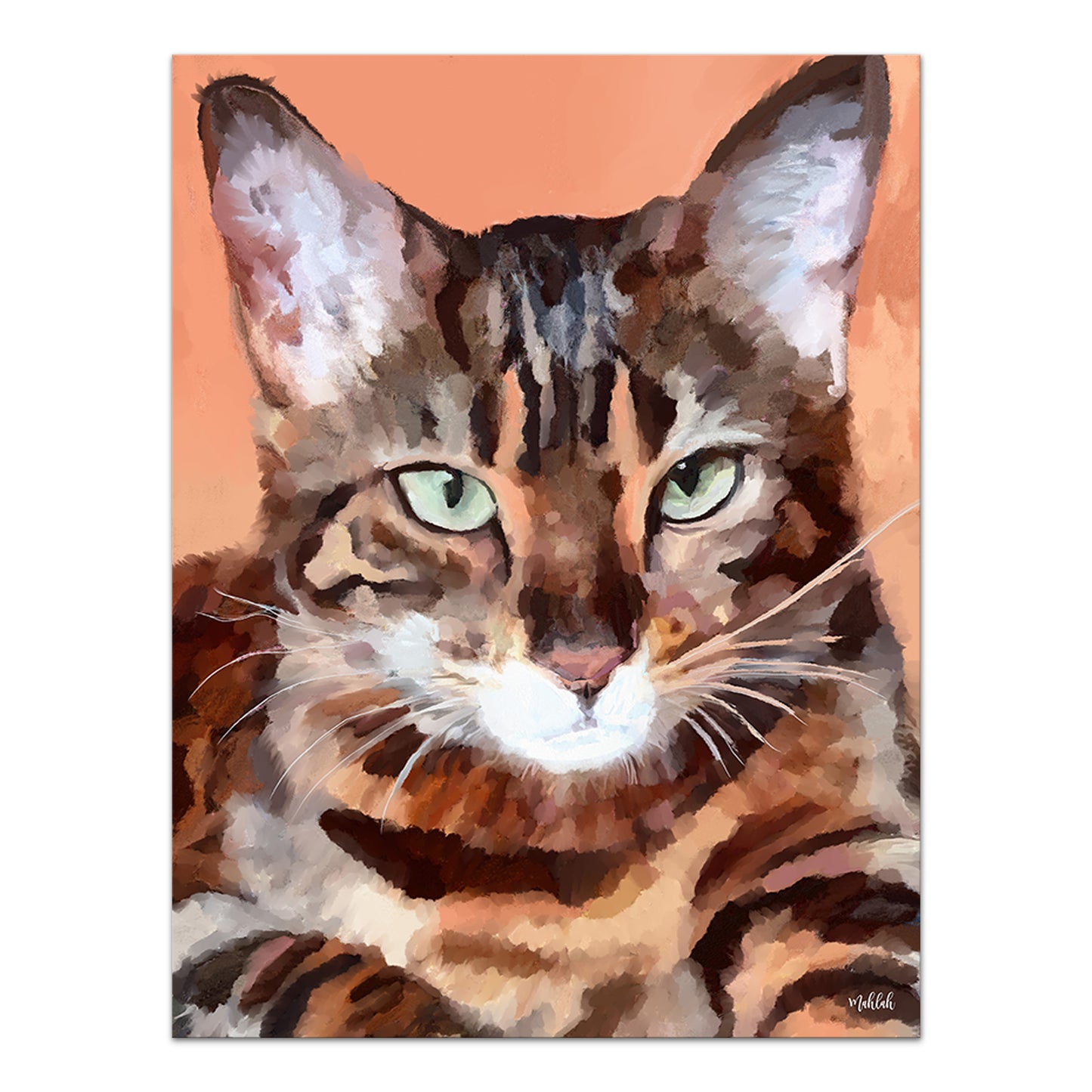 Kitty cat canvas print