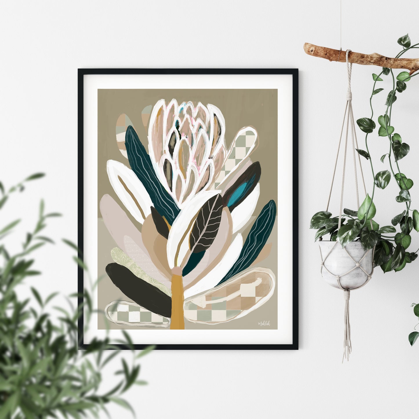 Protea Sage Canvas Print
