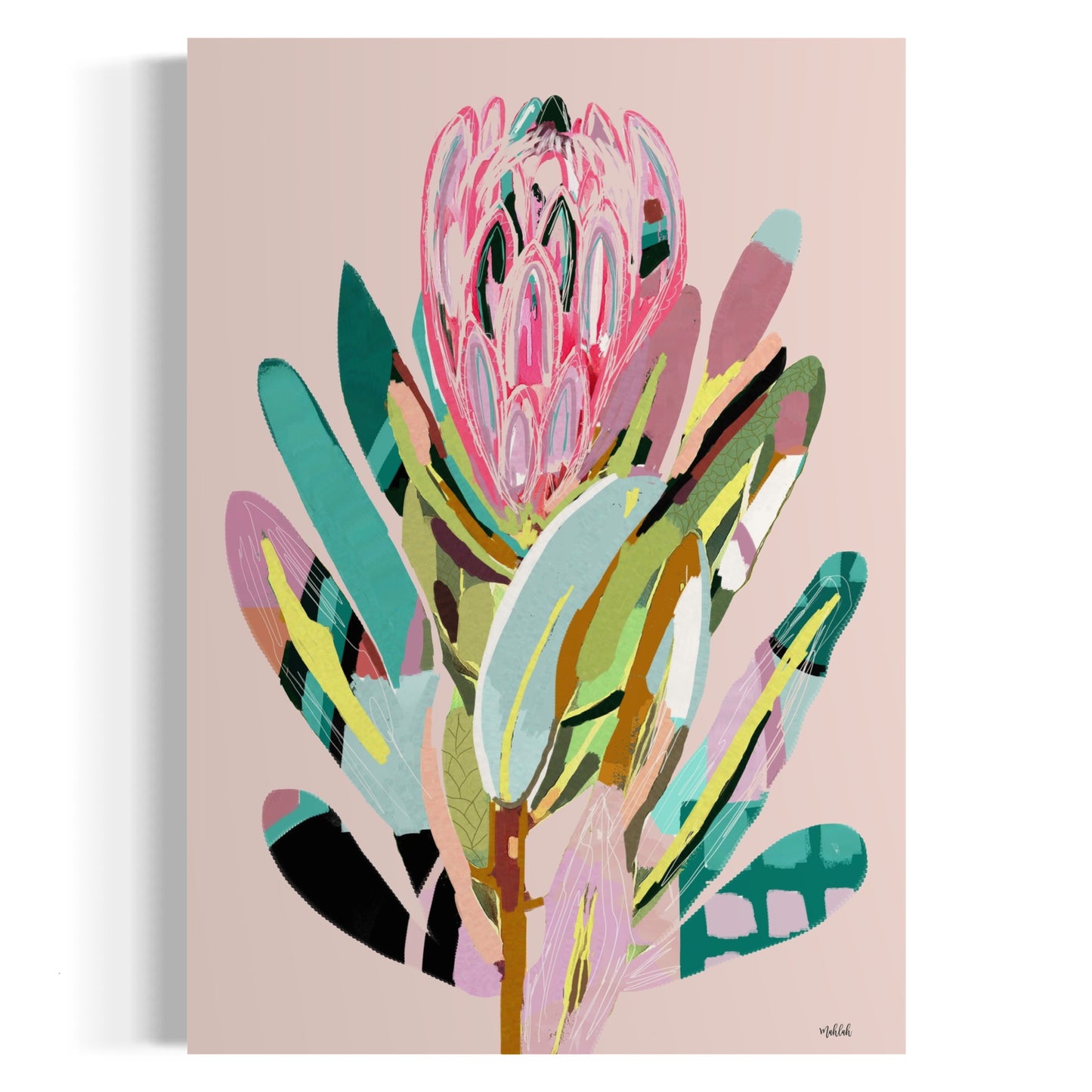 A2 Offbeat protea pink