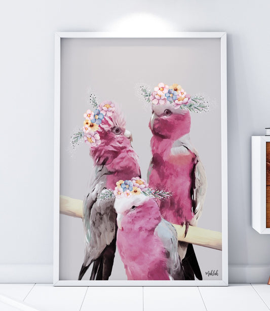 Family of Galahs Print