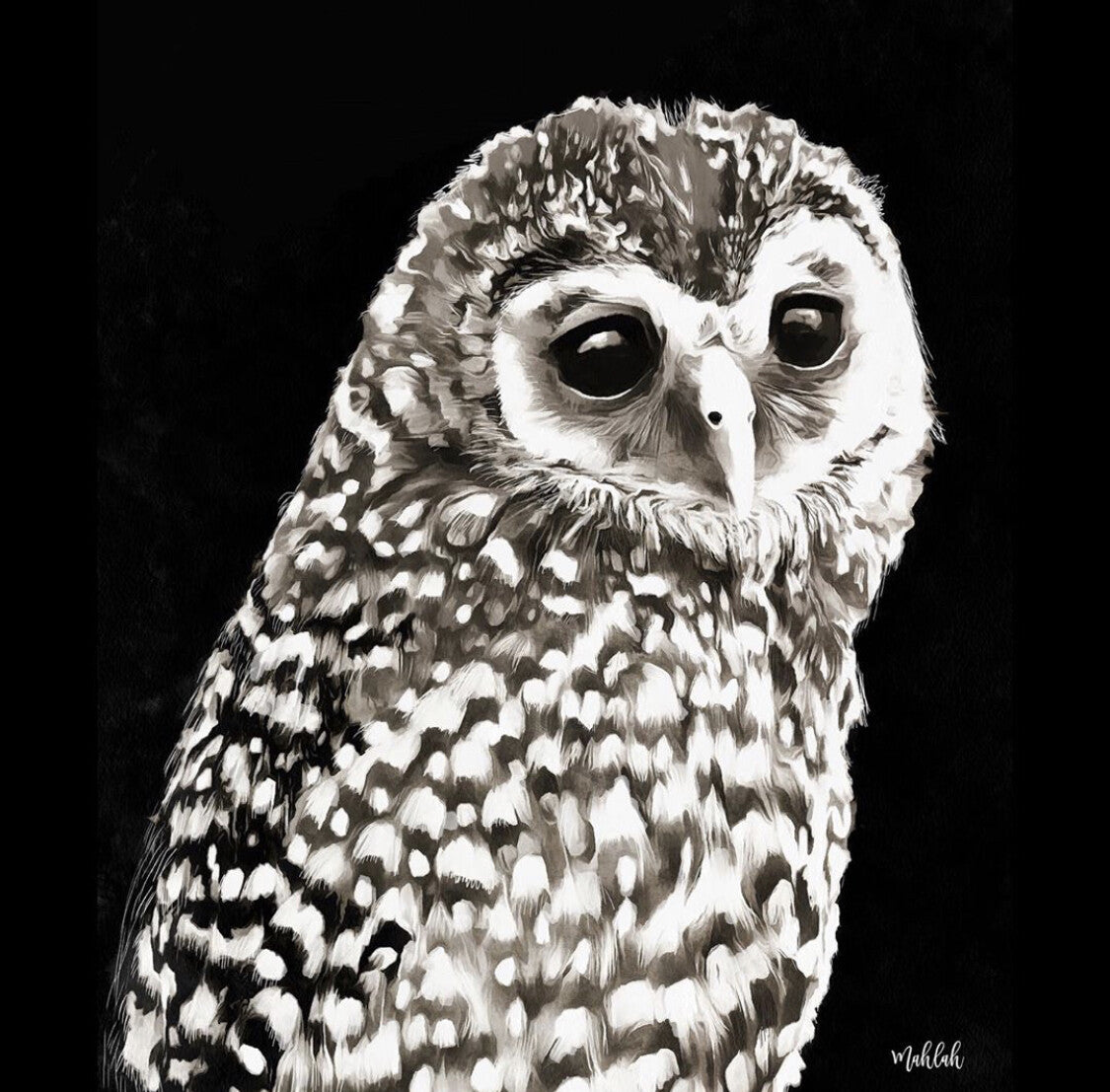 Owl  Print