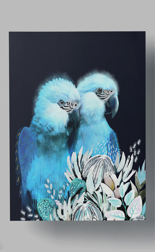 A3 print 300gsm Blue Parrots- BIRDINK004