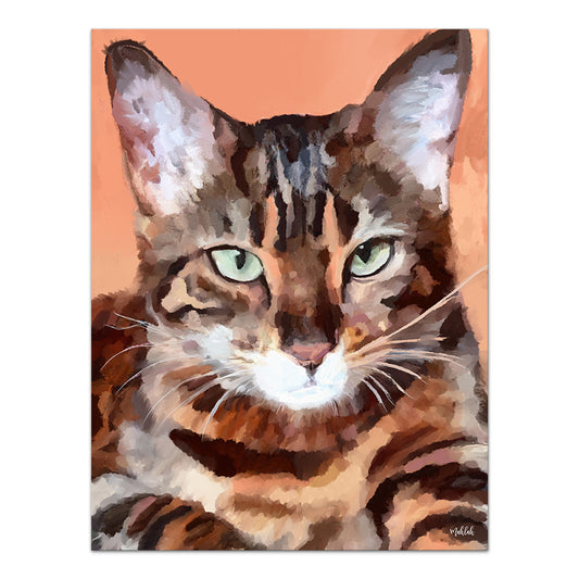 Kitty cat  canvas print