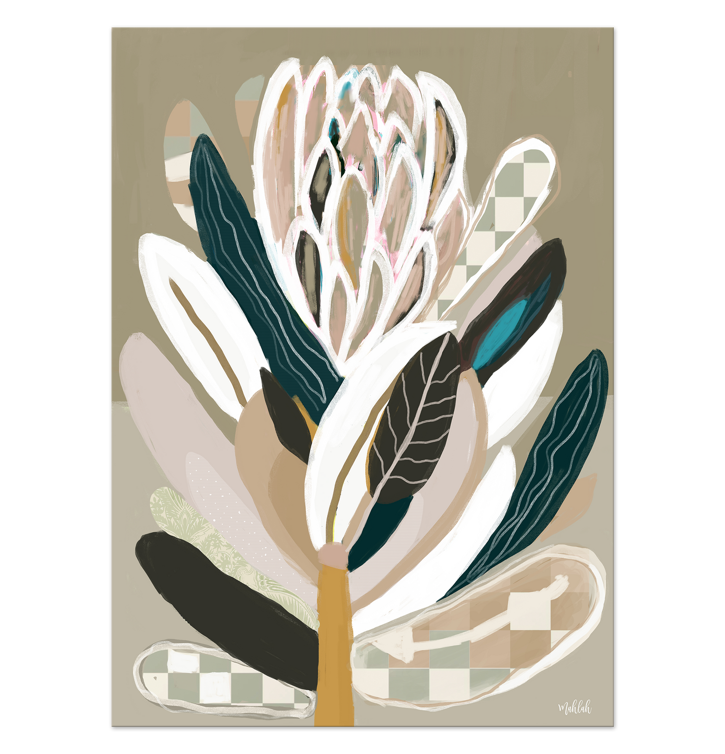 Protea Sage Canvas Print